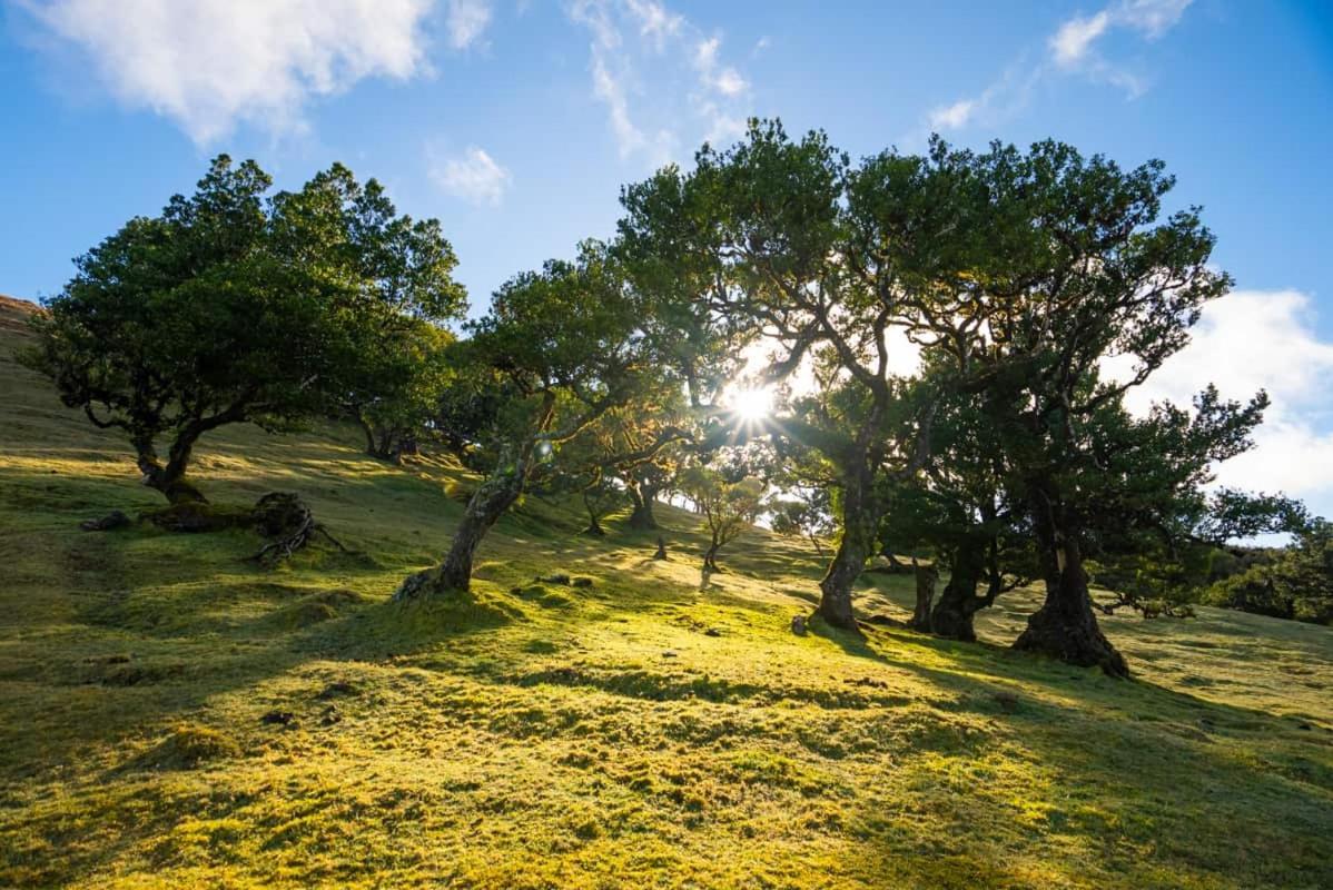 Quinta' Home Ribeira da Janela Экстерьер фото